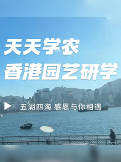 与香港园艺学会联合举办香港园艺研学，专业园境师带队讲解。