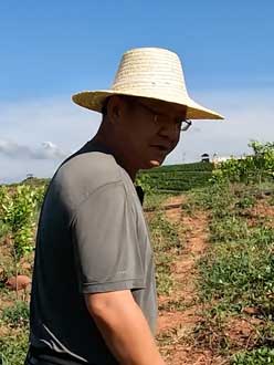 农业人叶涛，50多岁通讯人跨界搞农业，他要用1000万打造一个梦。